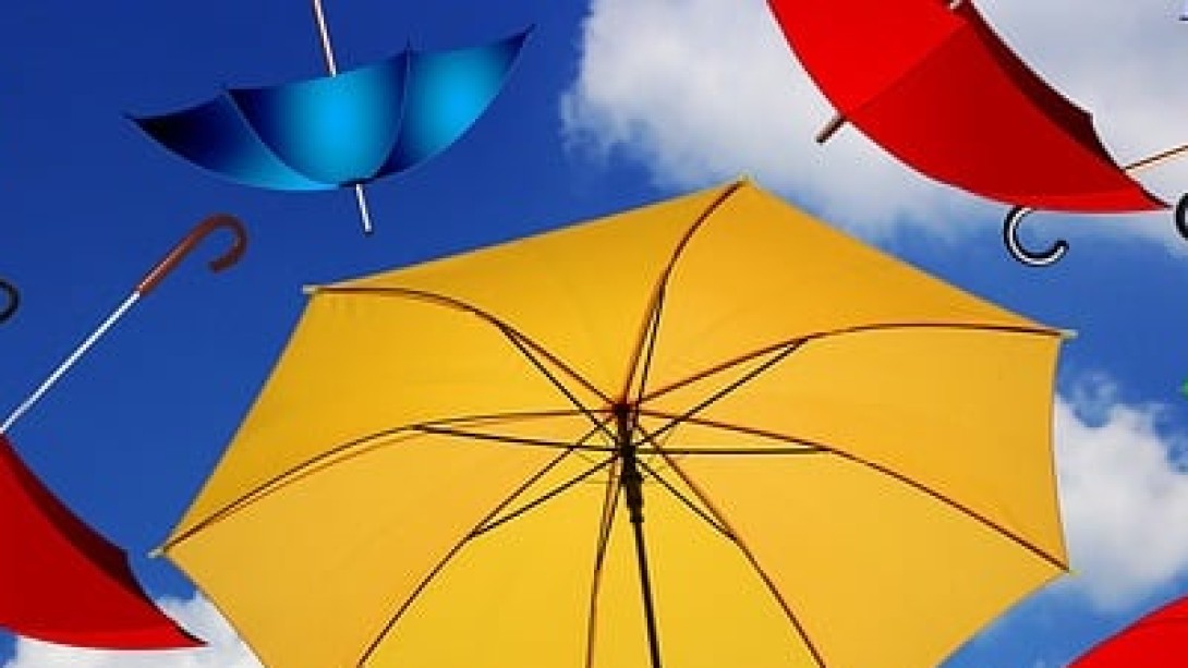 Bunte Regenschirme, die für Diversity und Vielfalt stehen