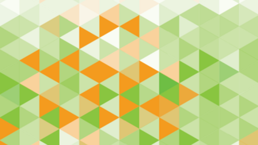 Umsetzungshilfe Maßschuhmacher/-in