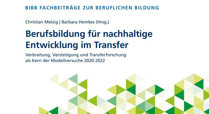 BBNE: Ergebnisse aus Modellversuchen und Transferforschung